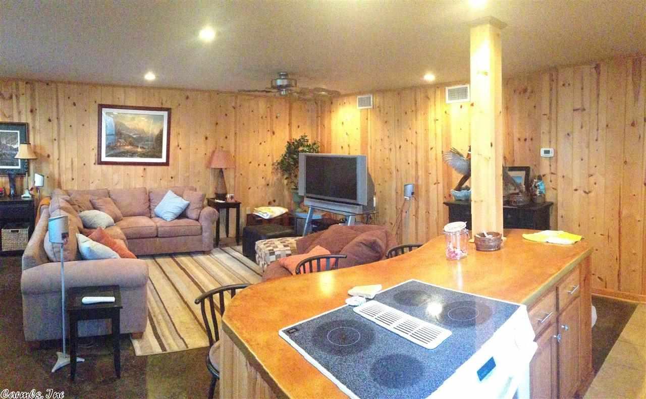 1055 Lakefront Rd, Quitman, AR 72131 photo 4