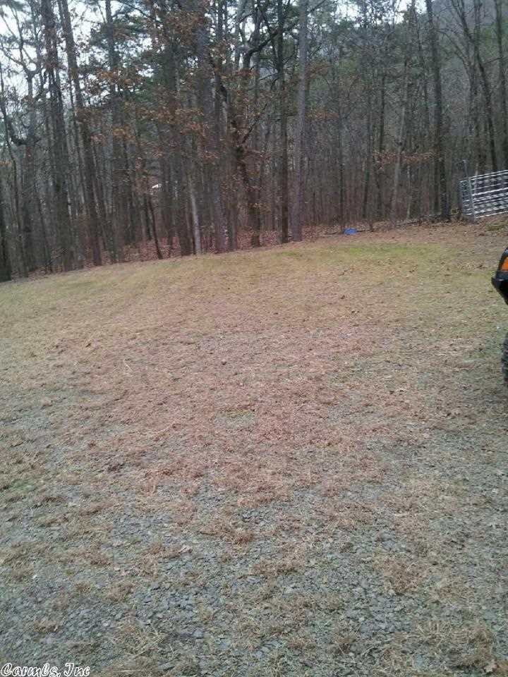 1055 Lakefront Rd, Quitman, AR 72131 photo 33