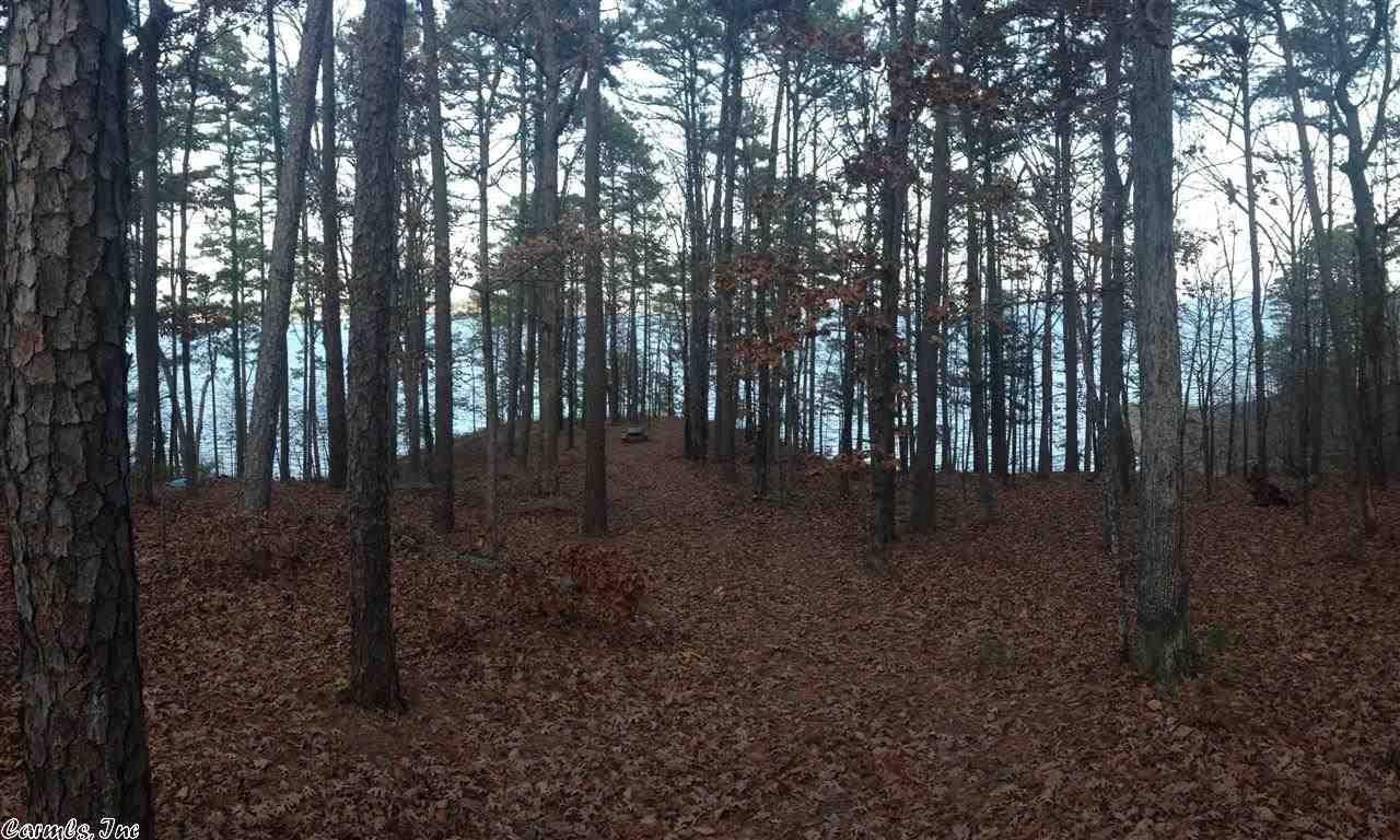 1055 Lakefront Rd, Quitman, AR 72131 photo 29