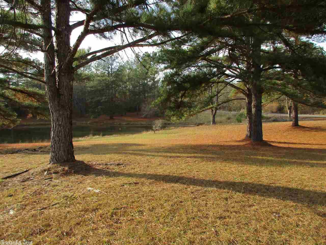 3 Windmill Rd, Amity, AR 71921 photo 34