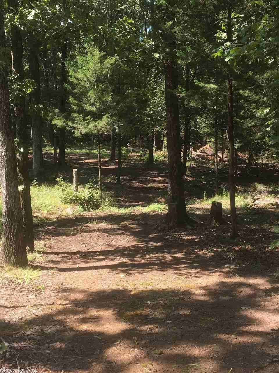 28 Bryces Trl, Higden, AR 72067 photo 19