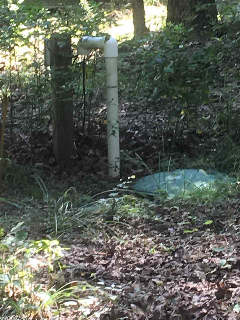 28 Bryces Trl, Higden, AR 72067 photo 20