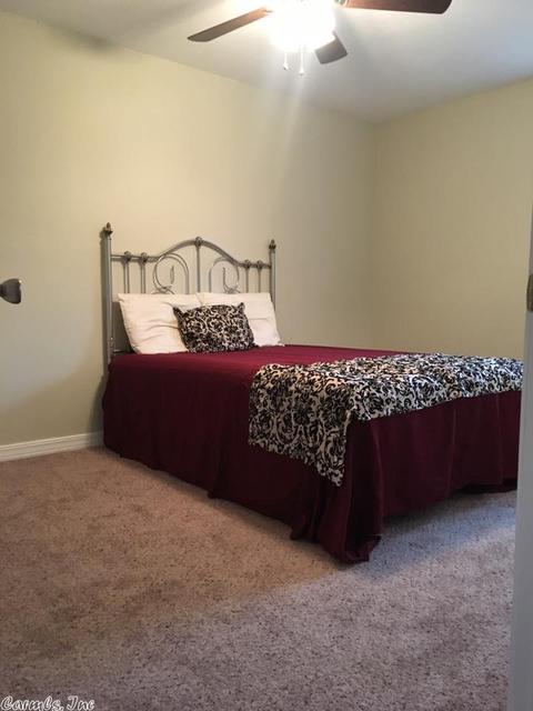 319 Terry Ln, Clinton, AR 72031 photo 19