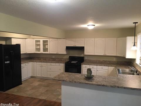 319 Terry Ln, Clinton, AR 72031 photo 8
