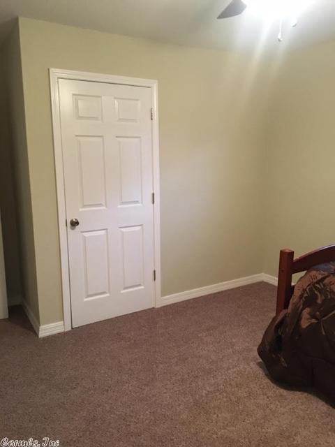 319 Terry Ln, Clinton, AR 72031 photo 21