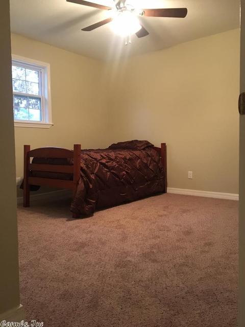 319 Terry Ln, Clinton, AR 72031 photo 22