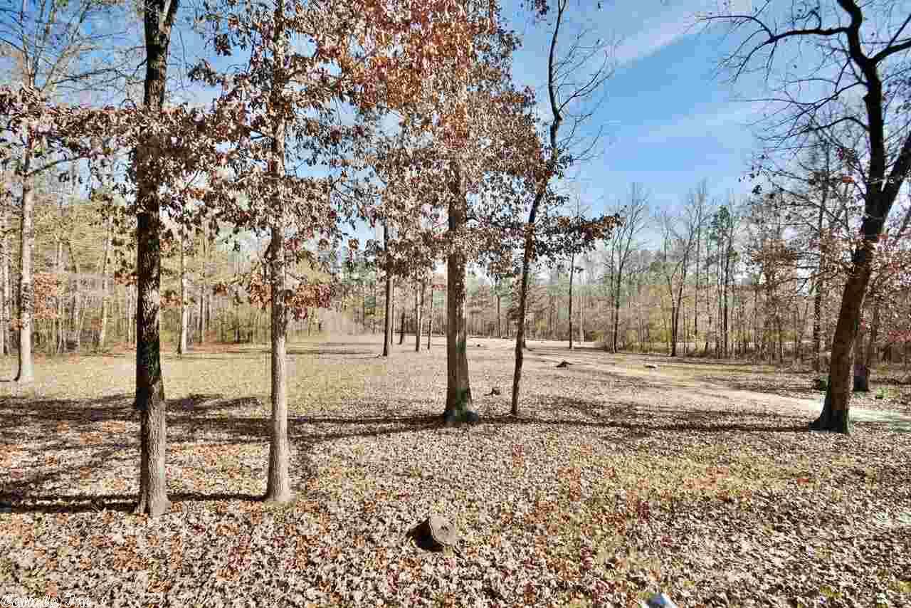 3851 Mount Olive Rd, Bauxite, AR 72011 photo 2