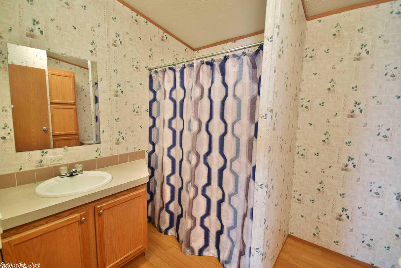 3851 Mount Olive Rd, Bauxite, AR 72011 photo 34