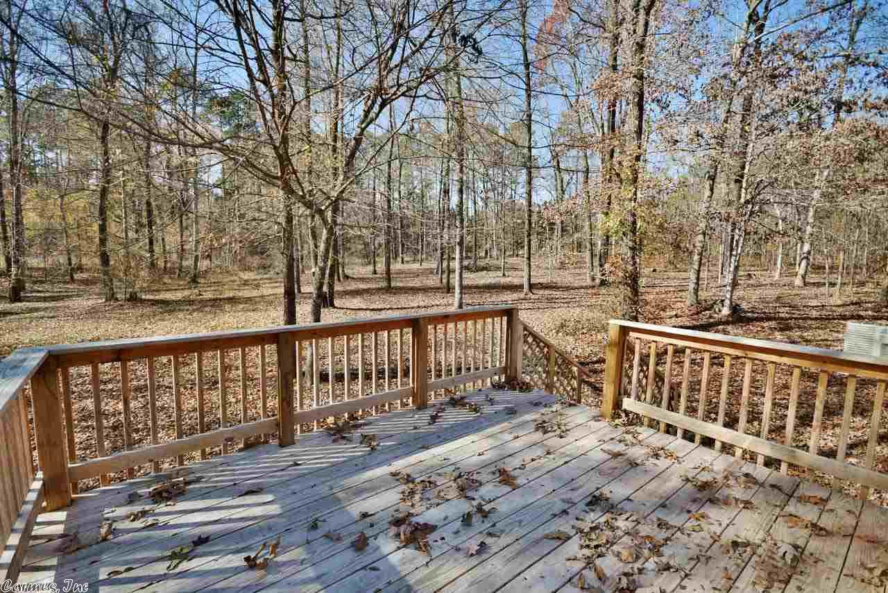 3851 Mount Olive Rd, Bauxite, AR 72011 photo 37