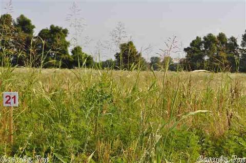 lot25 Planters Row, Scott, AR 72142 photo 5