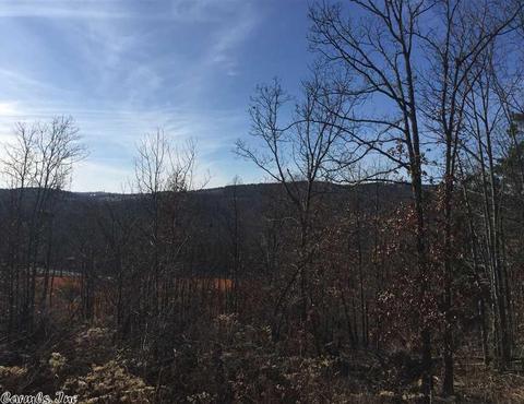 5597 Star Mountain Rd, Marshall, AR 72650 photo 23
