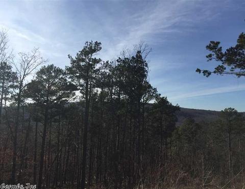 5597 Star Mountain Rd, Marshall, AR 72650 photo 22