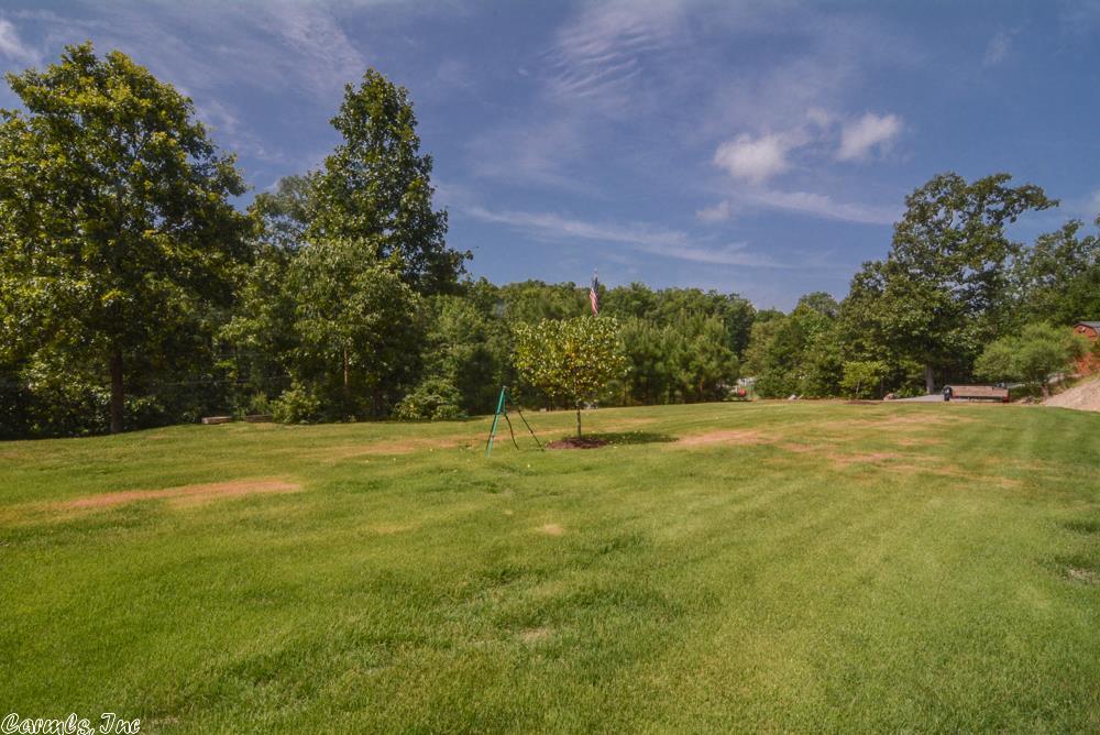 83 Golden Eagle Dr, Paron, AR 72122 photo 35