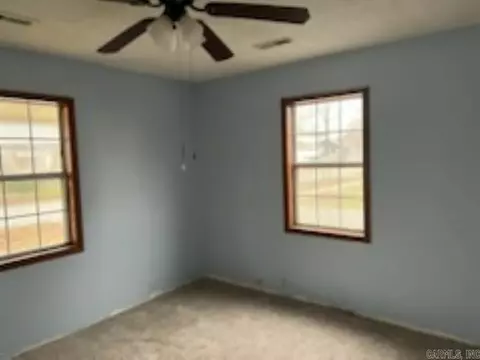 205 White Row, Gideon, MO 63848 photo 6