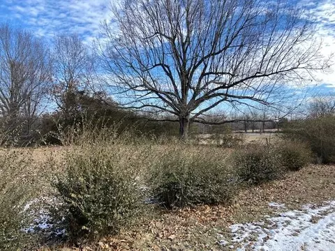 258 Supply Rd, Maynard, AR 72444 photo 33