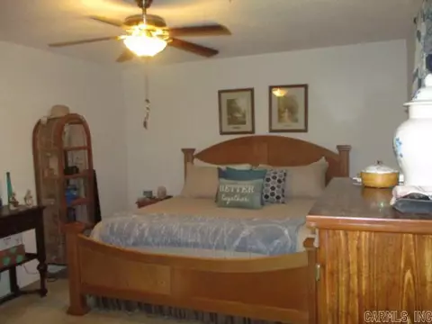 902 Alberta, Malden, MO 63863 photo 9