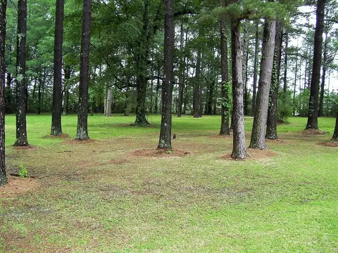 616 Bell St, Foreman, AR 71836 photo 36