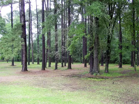 616 Bell St, Foreman, AR 71836 photo 35