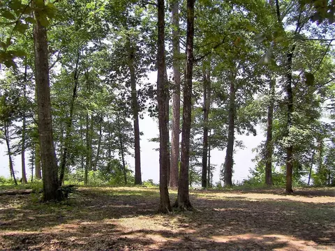 154 Yarborough Ave, Ashdown, AR 71822 photo 30