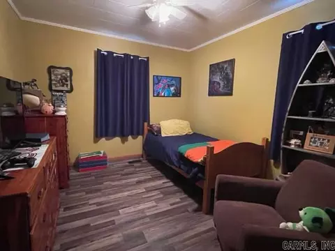 42 3rd St, Biggers, AR 72413 photo 8