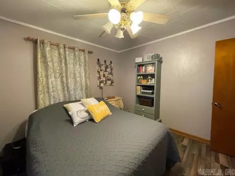 42 3rd St, Biggers, AR 72413 photo 6