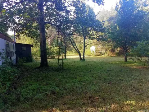 1329 Cr 461, Piggott, AR 72454 photo 9