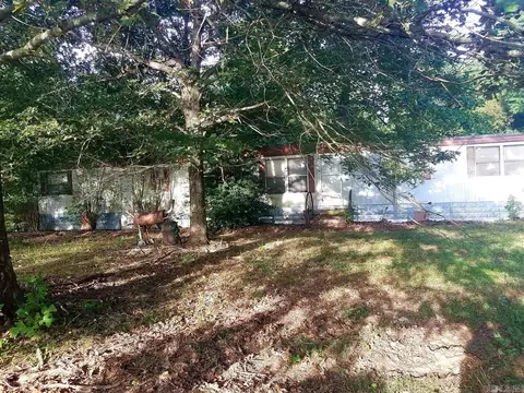 1329 Cr 461, Piggott, AR 72454 photo 6