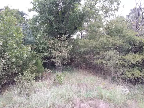 2521 Hwy 62, Corning, AR 72422 photo 1