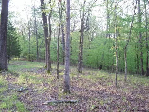 82 Anderson Ln, Mount Ida, AR 71957 photo 4