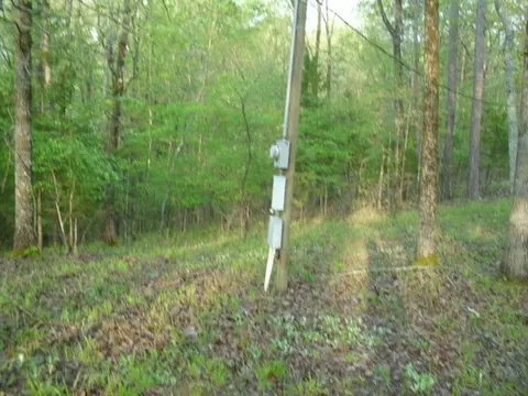 82 Anderson Ln, Mount Ida, AR 71957 photo 3