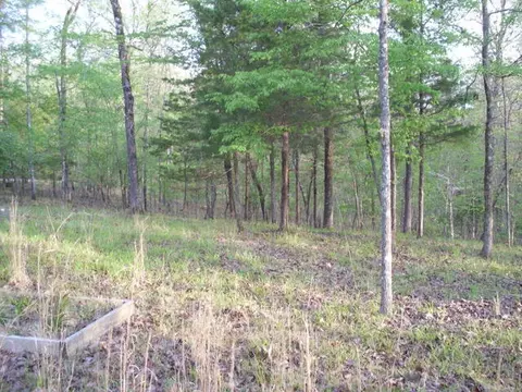 82 Anderson Ln, Mount Ida, AR 71957 photo 5
