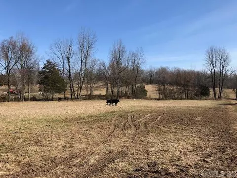 tbd Hwy 115, Maynard, AR 72444 photo 3