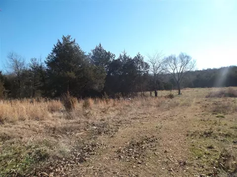 2902 Muddy Ln, Imboden, AR 72434 photo 10
