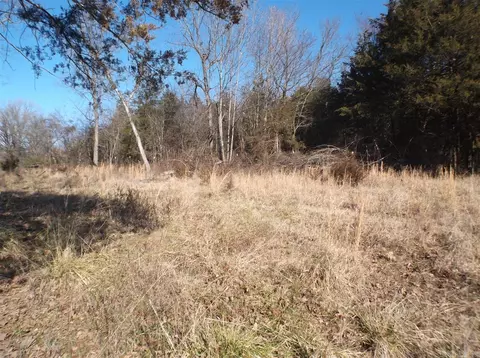 2902 Muddy Ln, Imboden, AR 72434 photo 11