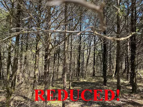 1837 Parker Creek Rd, Maynard, AR 72444 photo 1