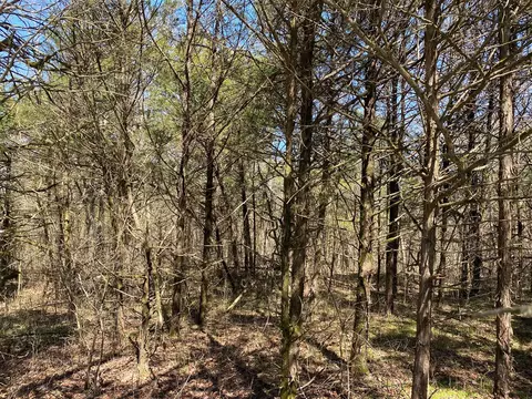 1837 Parker Creek Rd, Maynard, AR 72444 photo 3