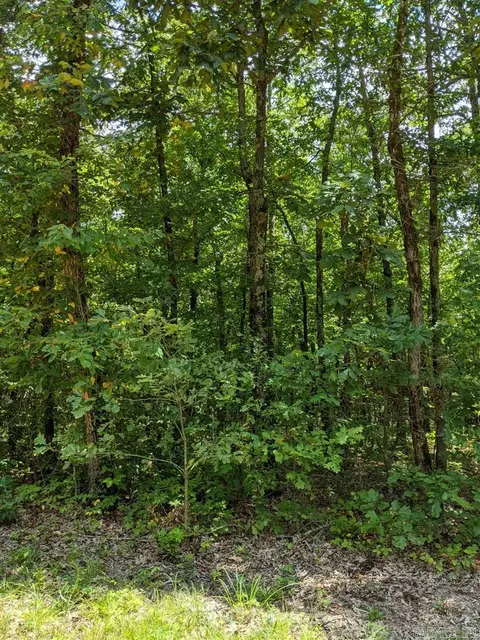 162 Cr 424, Rector, AR 72461 photo 2