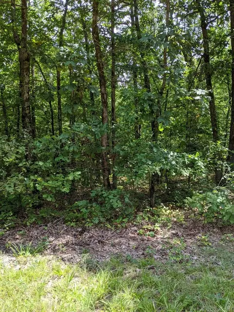 162 Cr 424, Rector, AR 72461 photo 4