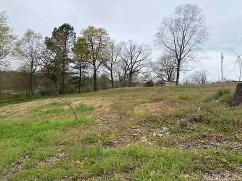 545 Beech St, Black Rock, AR 72415 photo 14