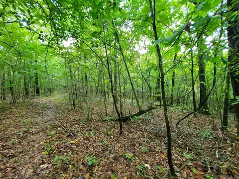 193 Cr 265, Rector, AR 72461 photo 17