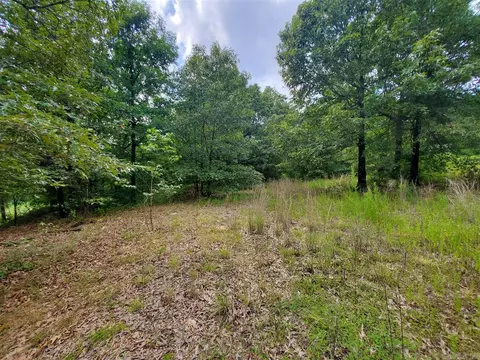 193 Cr 265, Rector, AR 72461 photo 10