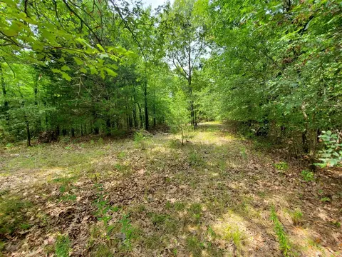 193 Cr 265, Rector, AR 72461 photo 12