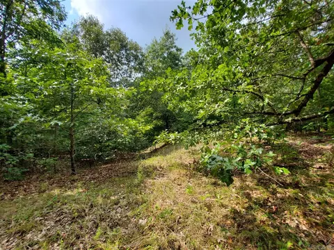 193 Cr 265, Rector, AR 72461 photo 14