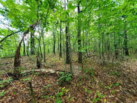 193 Cr 265, Rector, AR 72461 photo 18