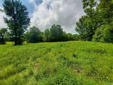 193 Cr 265, Rector, AR 72461 photo 4