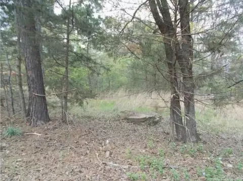 tbd Thompson Bay Loop, Scranton, AR 72863 photo 2