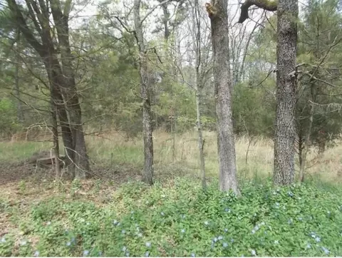 tbd Thompson Bay Loop, Scranton, AR 72863 photo 3