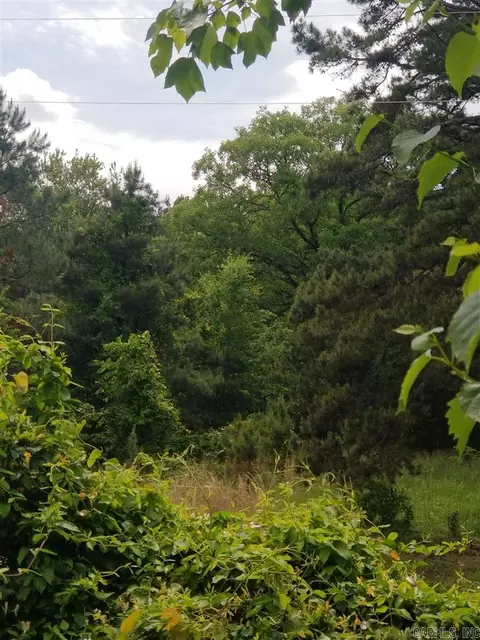 tbd Flurry Rd, Delaware, AR 72835 photo 2