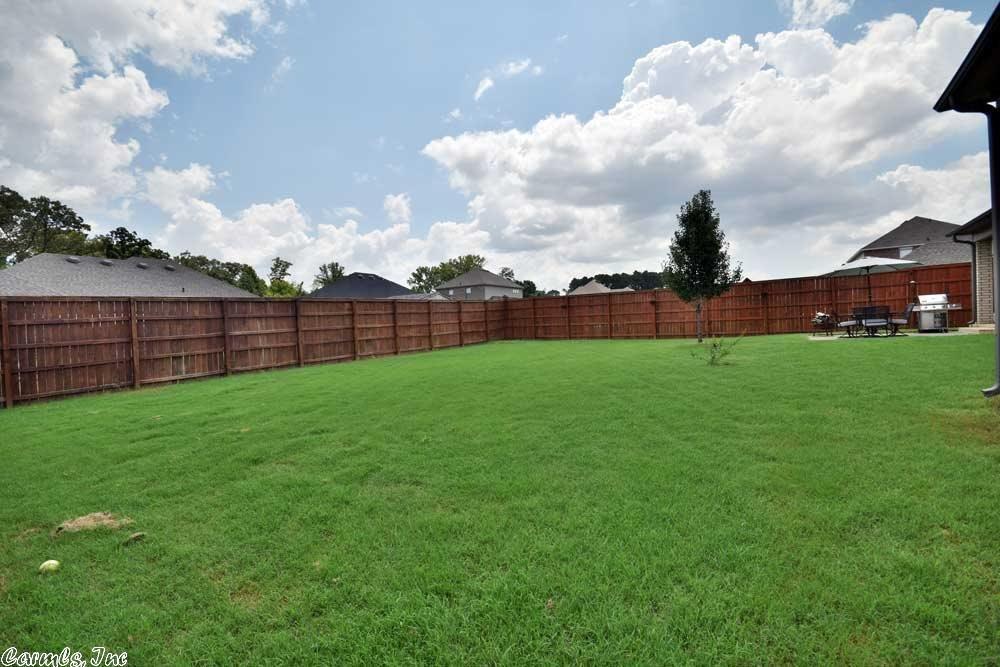 3130 Cloudberry, Conway, AR 72032 photo 30