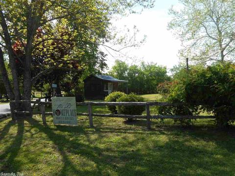 406 Cedar Ave, Mountain View, AR 72560 photo 33